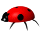 piga.gif (17009 bytes)